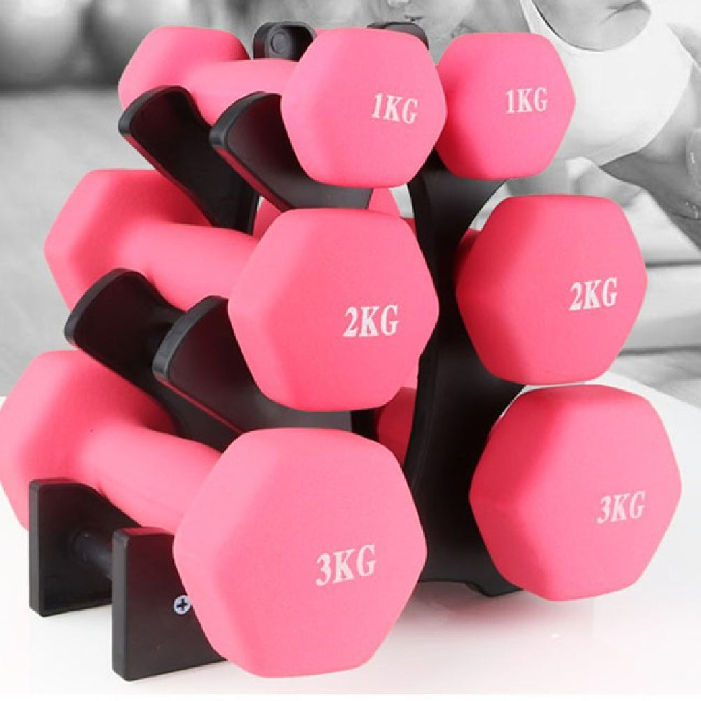 Fitness Dumbbell With Rack Holder Put Home Dumbbell Rack